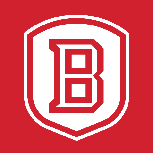 Bradley Braves 2012-Pres Secondary Logo v3 DIY iron on transfer (heat transfer)